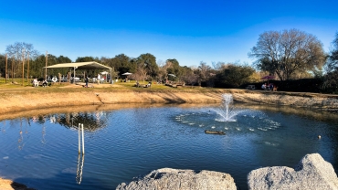 Pond at Dueling Dogs