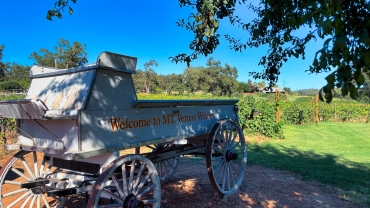 Vintage wagon at entrance to Mt. Vernon Winery