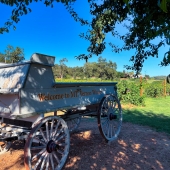 Vintage wagon at entrance to Mt. Vernon Winery