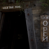 Mine opening at Gold Bug Mine